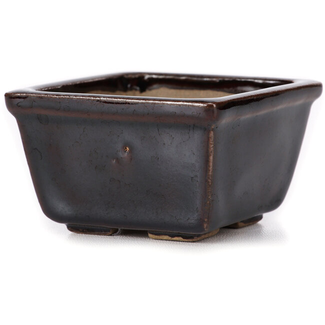 Vaso bonsai quadrato marrone di Seto - 80 x 75 x 45 mm