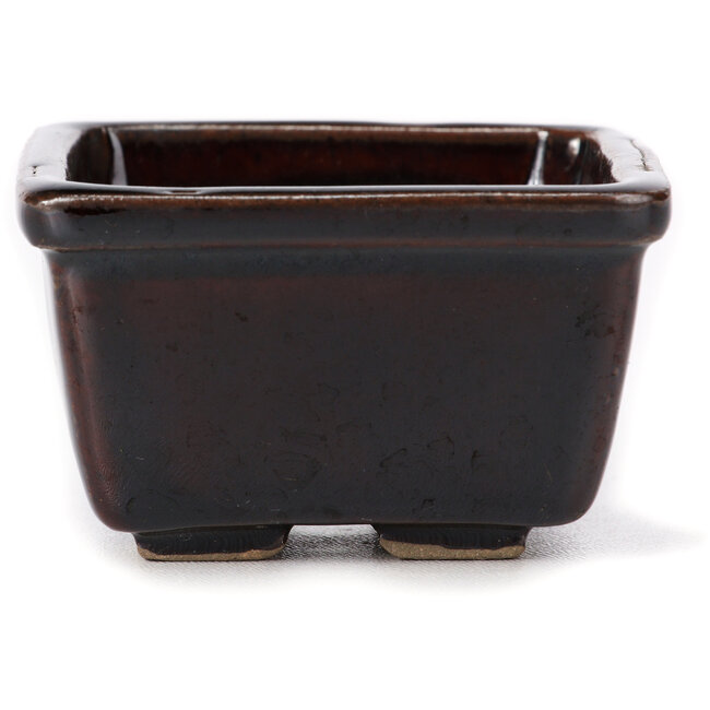 Pot à bonsaï carré marron par Seto - 85 x 80 x 50 mm