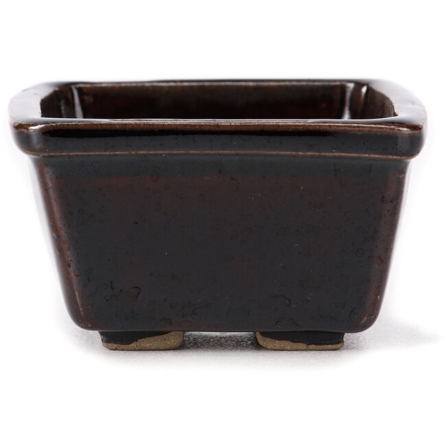 Vaso bonsai quadrato marrone di Seto - 85 x 80 x 50 mm