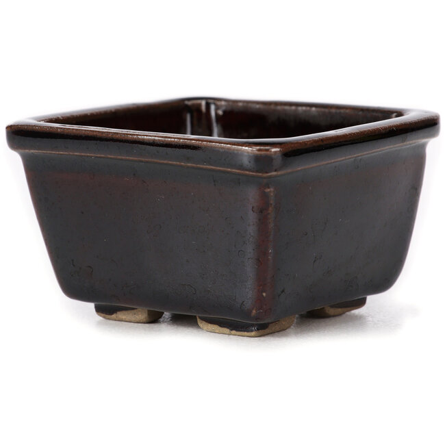 Vaso bonsai quadrato marrone di Seto - 85 x 80 x 50 mm