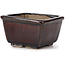 Square brown bonsai pot by Seto - 80 x 75 x 45 mm