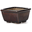 Square brown bonsai pot by Seto - 80 x 75 x 45 mm