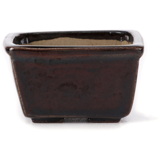 Square brown bonsai pot by Seto - 80 x 80 x 45 mm