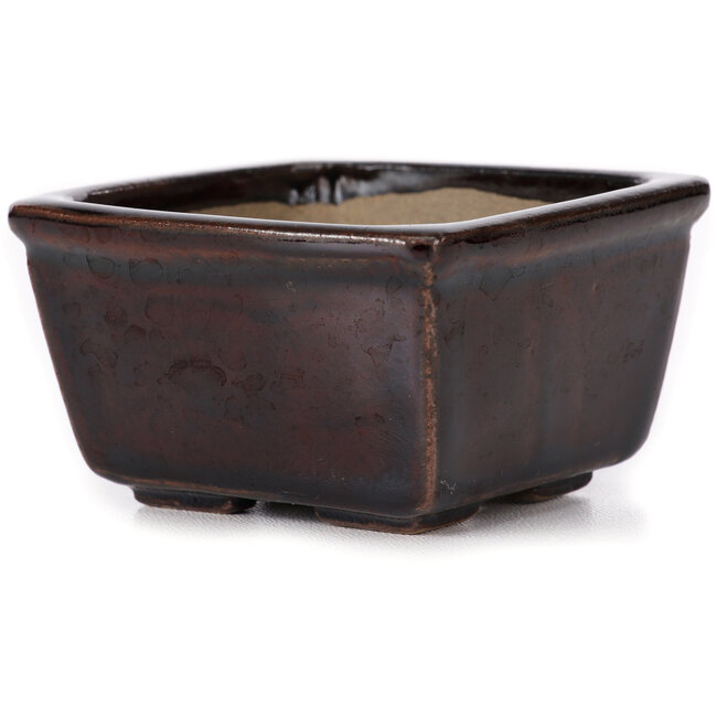 Vaso bonsai quadrato marrone di Seto - 80 x 80 x 45 mm
