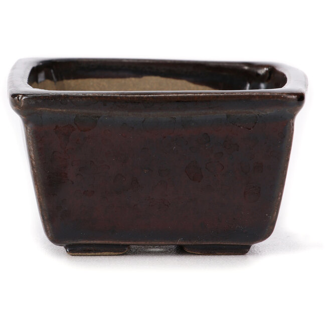 Square brown bonsai pot by Seto - 80 x 80 x 45 mm