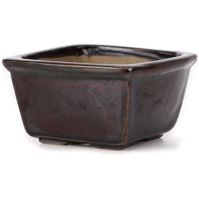 Square brown bonsai pot by Seto - 80 x 80 x 45 mm