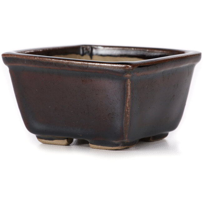 Pot à bonsaï carré marron par Seto - 80 x 80 x 45 mm