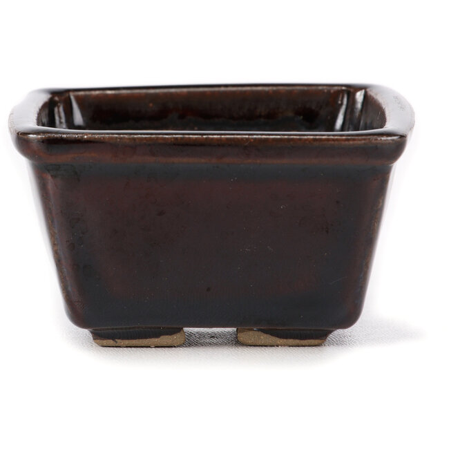 Pot à bonsaï carré marron par Seto - 80 x 80 x 45 mm