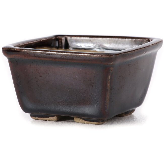 Pot à bonsaï carré marron par Seto - 80 x 80 x 45 mm