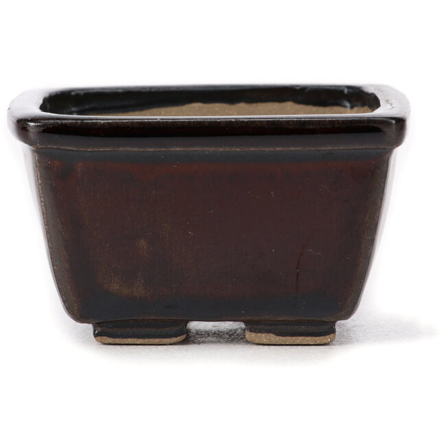 Square brown bonsai pot by Seto - 80 x 80 x 45 mm