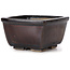 Square brown bonsai pot by Seto - 80 x 80 x 45 mm