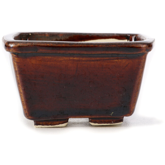 Maceta de bonsái cuadrada marrón de Seto - 85 x 80 x 45 mm