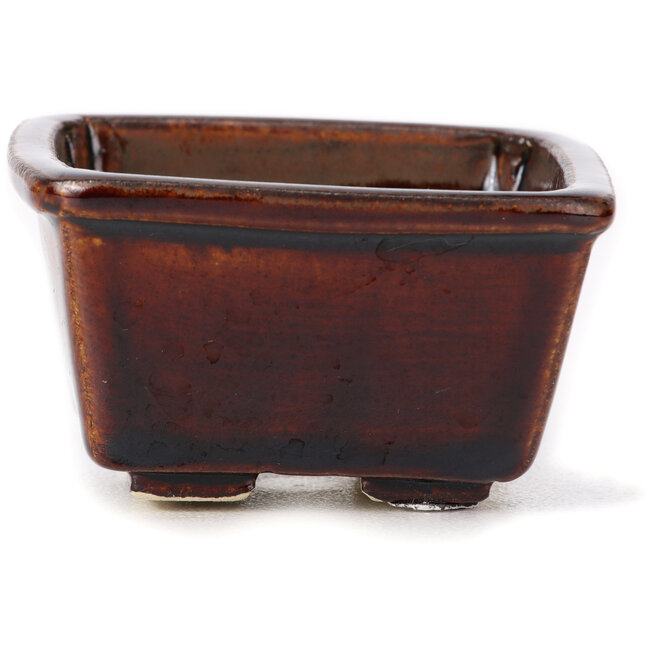 Vaso bonsai quadrato marrone di Seto - 85 x 80 x 45 mm