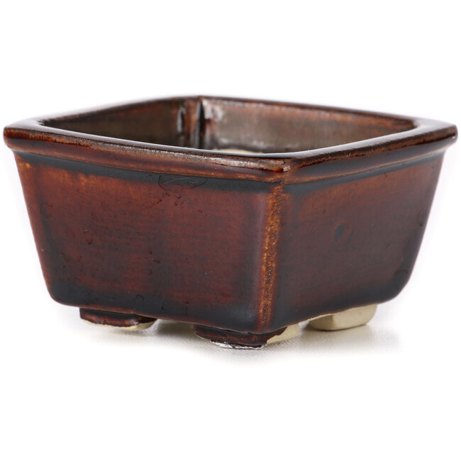 Pot à bonsaï carré marron par Seto - 85 x 80 x 45 mm