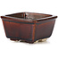 Square brown bonsai pot by Seto - 85 x 80 x 45 mm