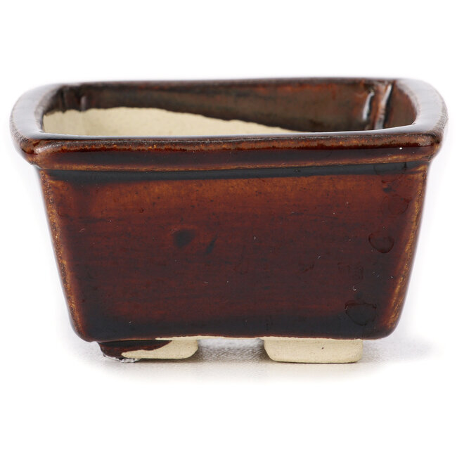 Maceta de bonsái cuadrada marrón de Seto - 85 x 80 x 45 mm