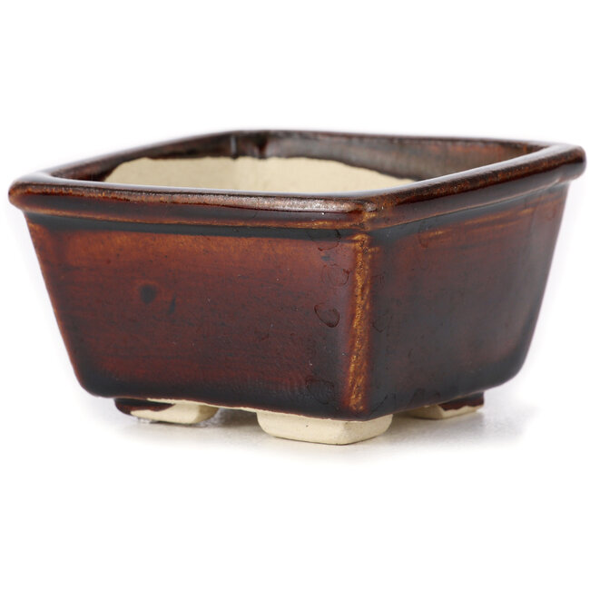 Square brown bonsai pot by Seto - 85 x 80 x 45 mm