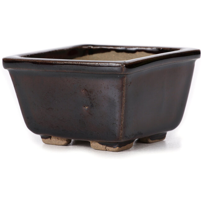Pot à bonsaï carré marron par Seto - 80 x 80 x 50 mm