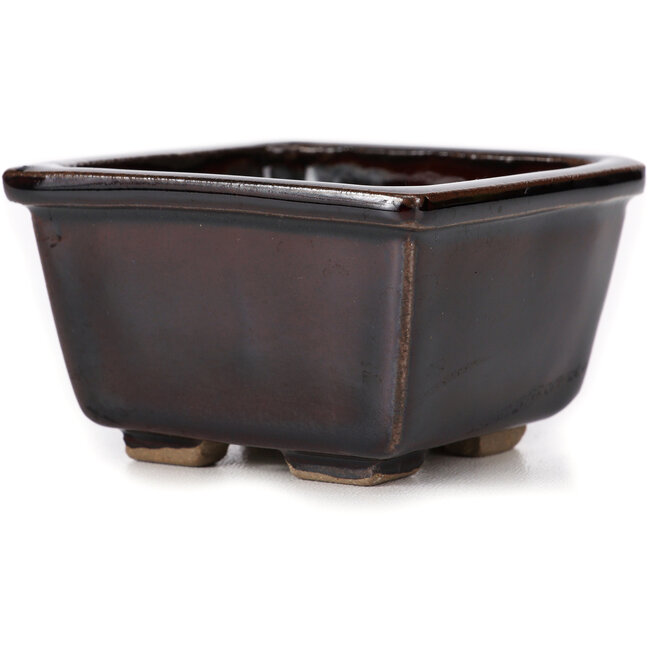 Pot à bonsaï carré marron par Seto - 80 x 80 x 50 mm