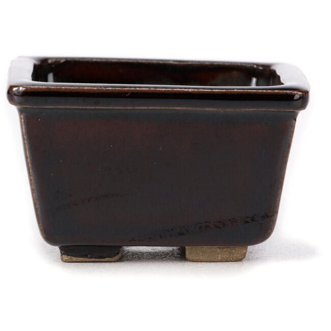 Vaso bonsai quadrato marrone di Seto - 80 x 80 x 50 mm