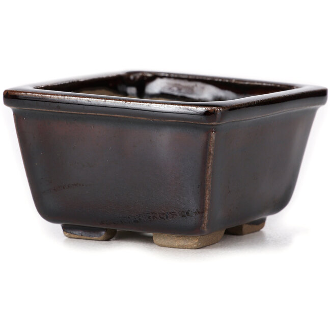 Pot à bonsaï carré marron par Seto - 80 x 80 x 50 mm