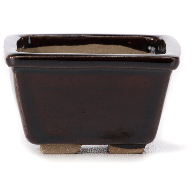 Maceta de bonsái cuadrada marrón de Seto - 80 x 80 x 50 mm