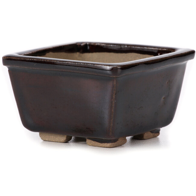 Vaso bonsai quadrato marrone di Seto - 80 x 80 x 50 mm