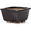 Square brown bonsai pot by Seto - 80 x 80 x 50 mm