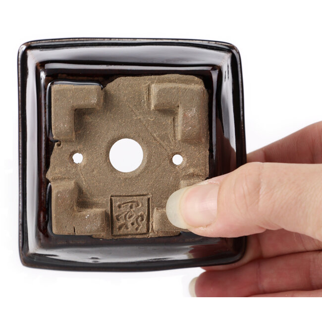 Pot à bonsaï carré marron par Seto - 80 x 80 x 50 mm