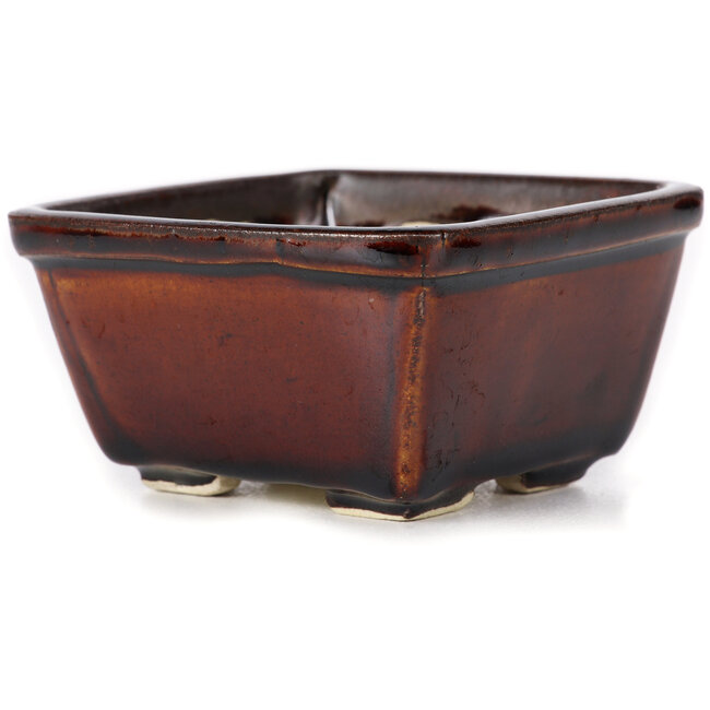 Quadratische braune Bonsaischale von Seto - 90 x 90 x 50 mm