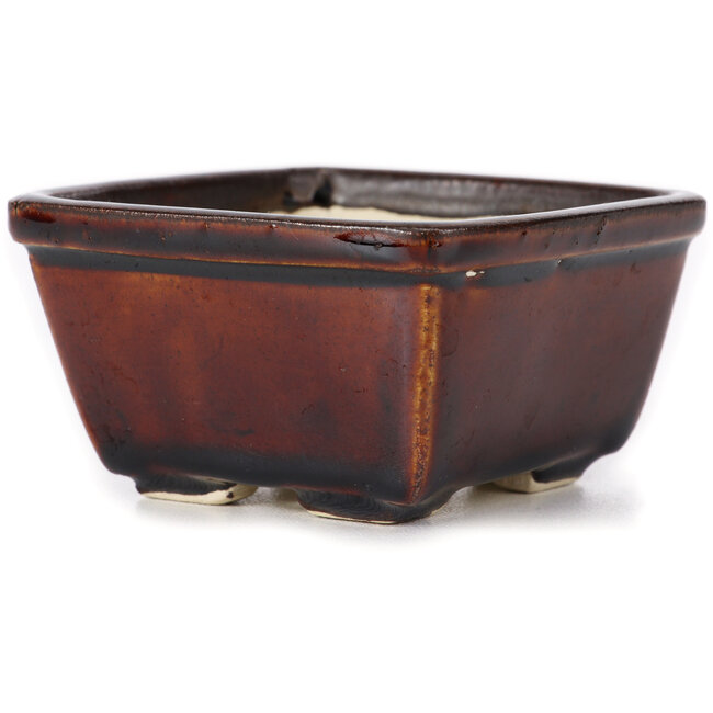 Pot à bonsaï carré marron par Seto - 90 x 90 x 50 mm