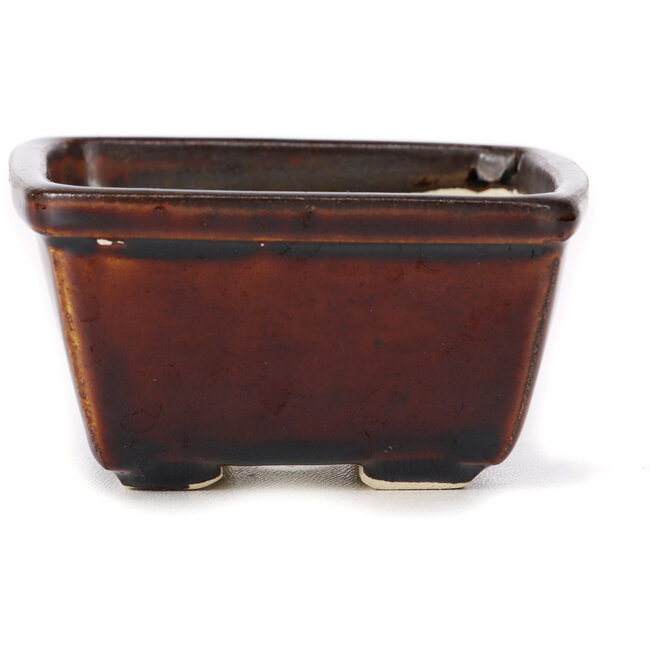 Pot à bonsaï carré marron par Seto - 90 x 90 x 50 mm