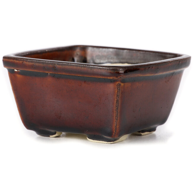 Maceta de bonsái cuadrada marrón de Seto - 90 x 90 x 50 mm