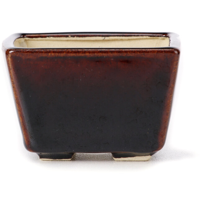 Square brown bonsai pot by Seto - 80 x 75 x 50 mm