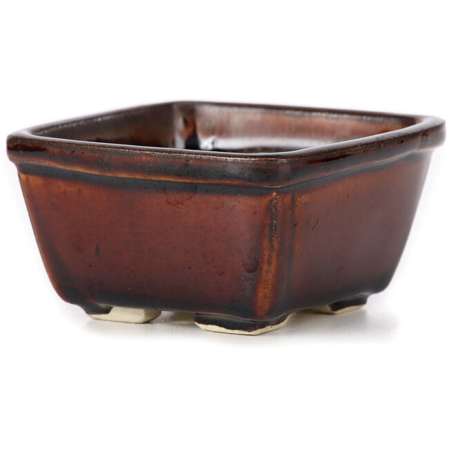 Pot à bonsaï carré marron par Seto - 90 x 90 x 50 mm