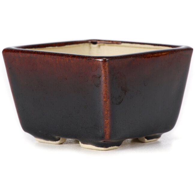 Vaso bonsai quadrato marrone di Seto - 80 x 75 x 50 mm