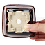 Square brown bonsai pot by Seto - 90 x 90 x 50 mm