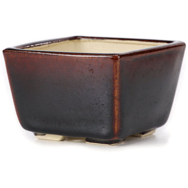 Pot à bonsaï carré marron par Seto - 80 x 75 x 50 mm