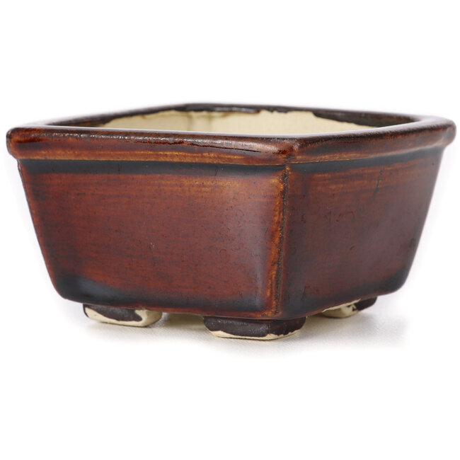 Pot à bonsaï carré marron par Seto - 80 x 85 x 45 mm