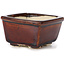 Square brown bonsai pot by Seto - 80 x 85 x 45 mm