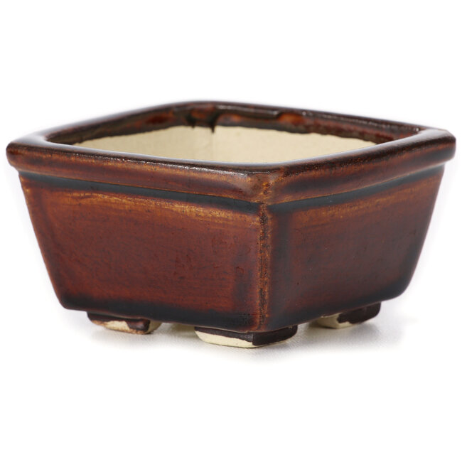 Pot à bonsaï carré marron par Seto - 80 x 85 x 45 mm