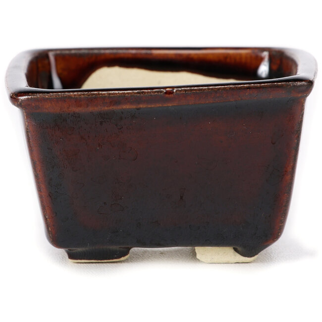 Square brown bonsai pot by Seto - 85 x 85 x 50 mm