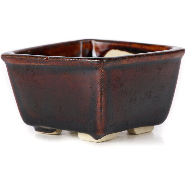 Vaso bonsai quadrato marrone di Seto - 85 x 85 x 50 mm
