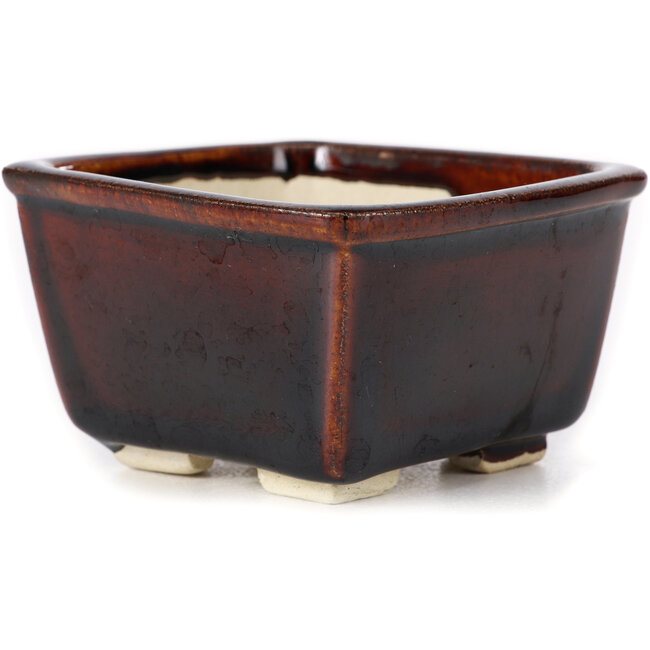 Pot à bonsaï carré marron par Seto - 85 x 85 x 50 mm