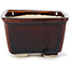 Pot à bonsaï carré marron par Seto - 85 x 85 x 50 mm