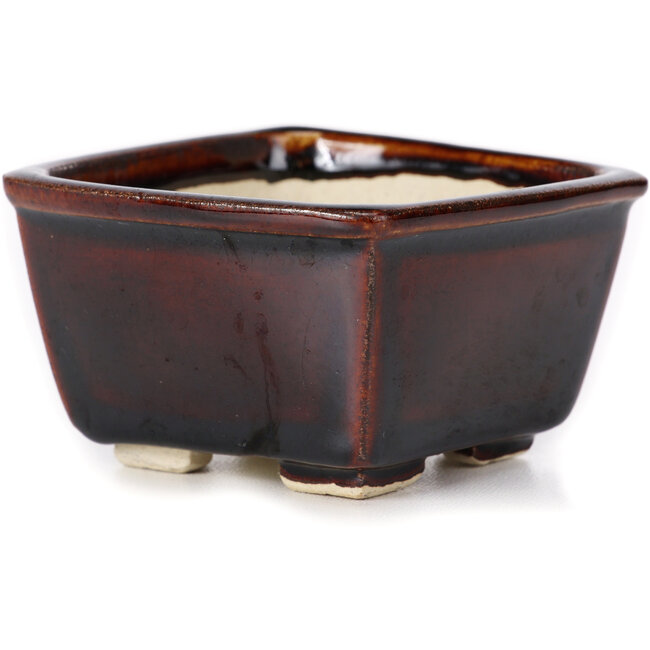 Pot à bonsaï carré marron par Seto - 85 x 85 x 50 mm