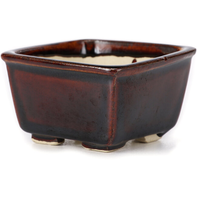 Pot à bonsaï carré marron par Seto - 85 x 85 x 50 mm
