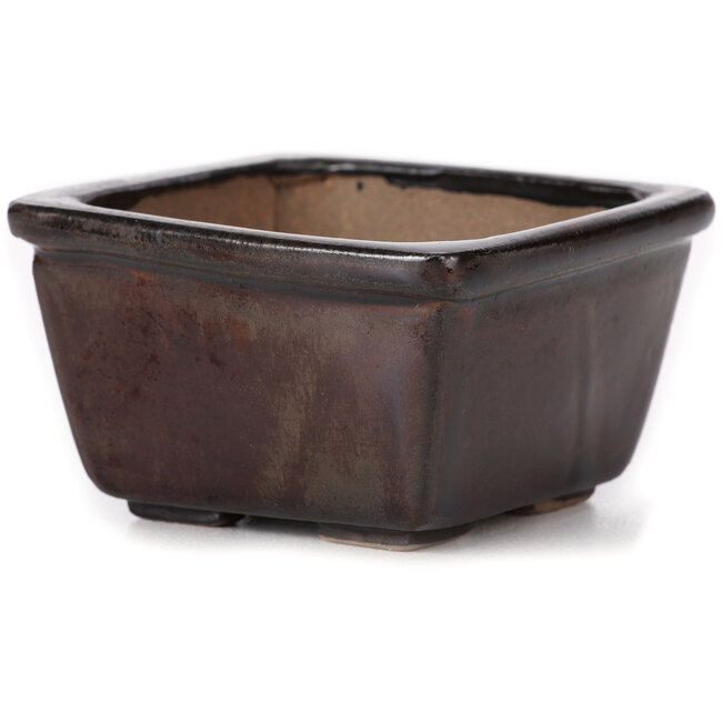 Vaso bonsai quadrato marrone di Seto - 80 x 80 x 45 mm