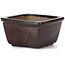 Square brown bonsai pot by Seto - 80 x 80 x 45 mm