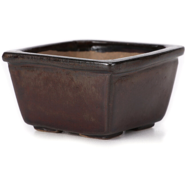 Vaso bonsai quadrato marrone di Seto - 80 x 80 x 45 mm